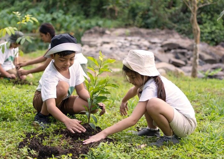 Sekolah Ramah Lingkungan: Cara Mendidik Siswa Agar Peduli Bumi