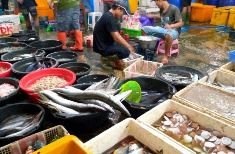 Sekolah di Tengah Pasar Ikan: Anak Mengenal Ekonomi Lokal Sejak Dini